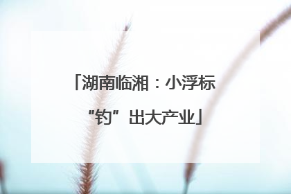 湖南临湘：小浮标“钓”出大产业