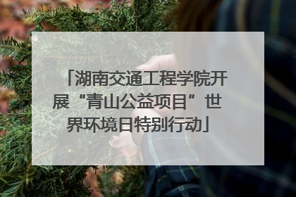 湖南交通工程学院开展“青山公益项目”世界环境日特别行动