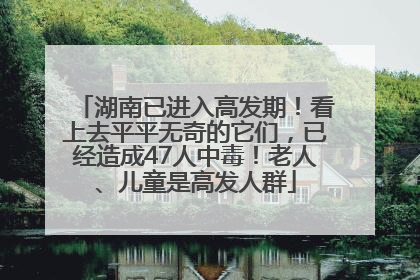湖南已进入高发期！看上去平平无奇的它们，已经造成47人中毒！老人、儿童是高发人群