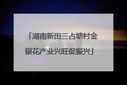 湖南新田三占塘村金银花产业兴旺促振兴