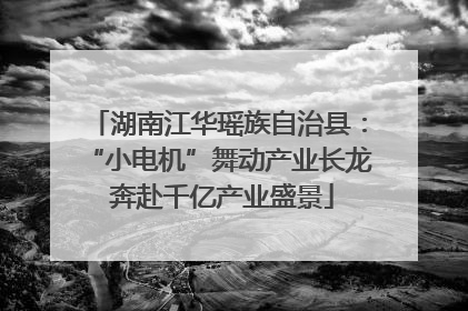 湖南江华瑶族自治县：“小电机”舞动产业长龙 奔赴千亿产业盛景