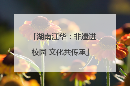 湖南江华：非遗进校园 文化共传承