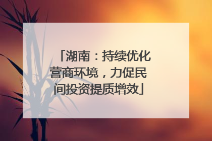 湖南：持续优化营商环境，力促民间投资提质增效