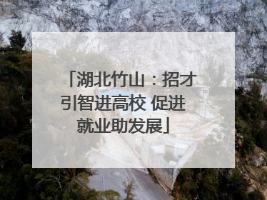 湖北竹山：招才引智进高校 促进就业助发展