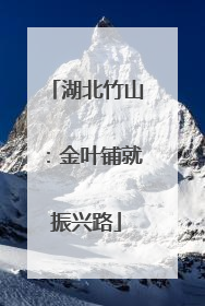 湖北竹山：金叶铺就振兴路