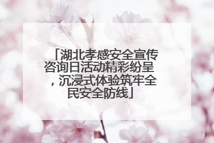 湖北孝感安全宣传咨询日活动精彩纷呈，沉浸式体验筑牢全民安全防线