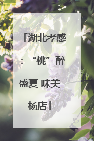 湖北孝感：“桃”醉盛夏 味美杨店