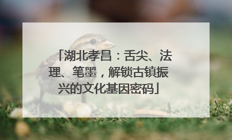 湖北孝昌：舌尖、法理、笔墨，解锁古镇振兴的文化基因密码