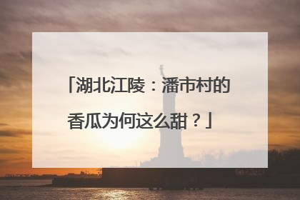 湖北江陵：潘市村的香瓜为何这么甜？