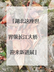 湖北这座世界级长江大桥迎来新进展