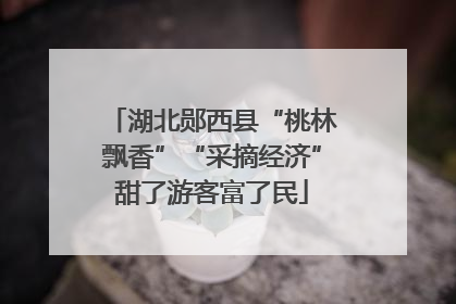 湖北郧西县“桃林飘香”“采摘经济”甜了游客富了民