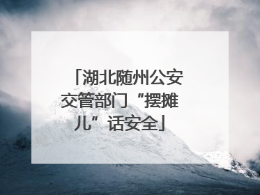 湖北随州公安交管部门“摆摊儿”话安全