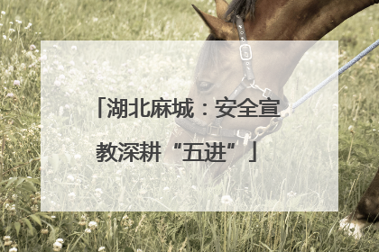 湖北麻城：安全宣教深耕“五进”