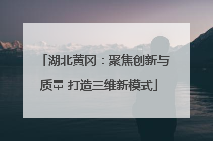 湖北黄冈：聚焦创新与质量 打造三维新模式
