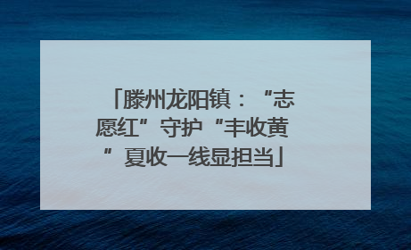 滕州龙阳镇：“志愿红”守护“丰收黄”夏收一线显担当