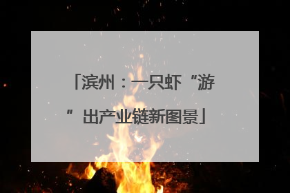 滨州：一只虾“游”出产业链新图景