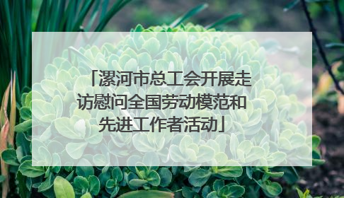 漯河市总工会开展走访慰问全国劳动模范和先进工作者活动