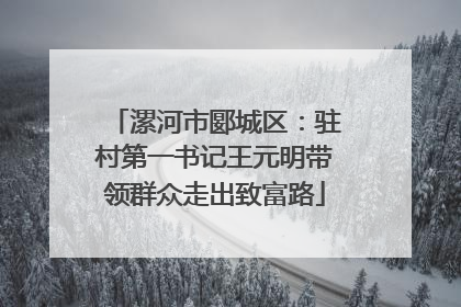 漯河市郾城区：驻村第一书记王元明带领群众走出致富路