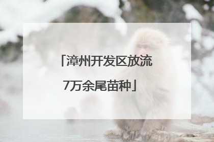 漳州开发区放流7万余尾苗种