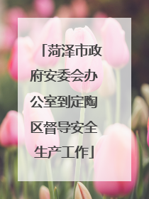 菏泽市政府安委会办公室到定陶区督导安全生产工作