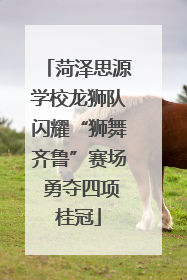菏泽思源学校龙狮队闪耀“狮舞齐鲁”赛场 勇夺四项桂冠