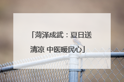 菏泽成武：夏日送清凉 中医暖民心