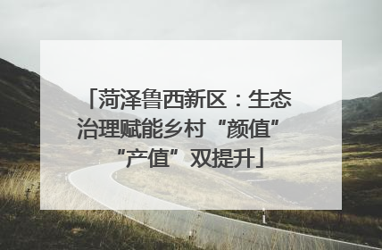 菏泽鲁西新区：生态治理赋能乡村“颜值”“产值”双提升