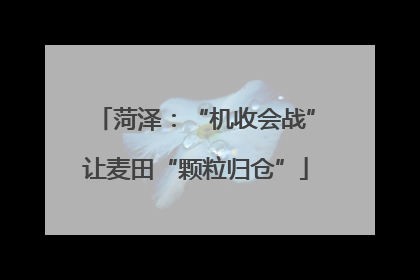 菏泽：“机收会战”让麦田“颗粒归仓”