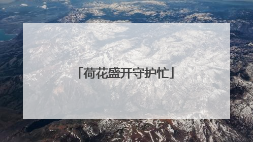 荷花盛开守护忙