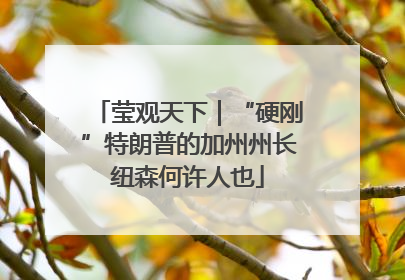 莹观天下｜“硬刚”特朗普的加州州长纽森何许人也