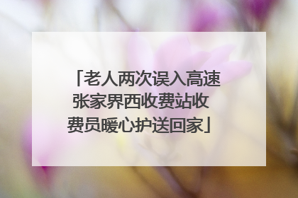 老人两次误入高速 张家界西收费站收费员暖心护送回家