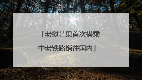 老挝芒果首次搭乘中老铁路销往国内