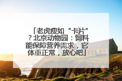 老虎瘦如“卡片”？北京动物园：饲料能保障营养需求，它体重正常，放心吧