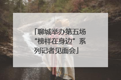 聊城举办第五场“榜样在身边”系列记者见面会