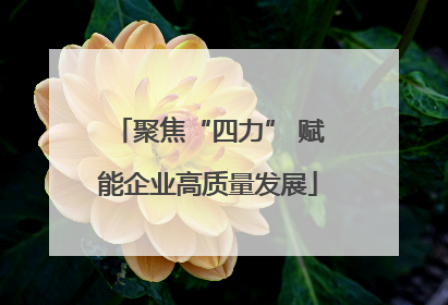 聚焦“四力” 赋能企业高质量发展
