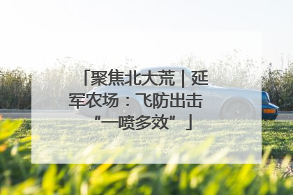 聚焦北大荒｜延军农场：飞防出击 “一喷多效”