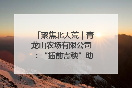 聚焦北大荒｜青龙山农场有限公司：“插前寄秧”助力农业节本增效