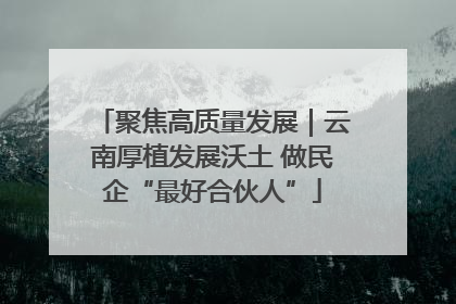 聚焦高质量发展｜云南厚植发展沃土 做民企“最好合伙人”