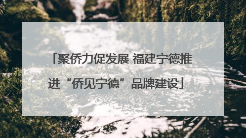 聚侨力促发展 福建宁德推进“侨见宁德”品牌建设
