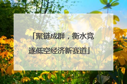 聚链成群，衡水竞逐低空经济新赛道