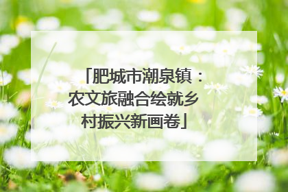 肥城市潮泉镇：农文旅融合绘就乡村振兴新画卷