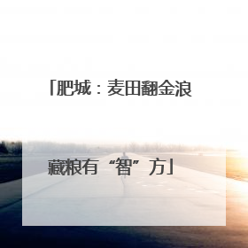 肥城：麦田翻金浪藏粮有“智”方