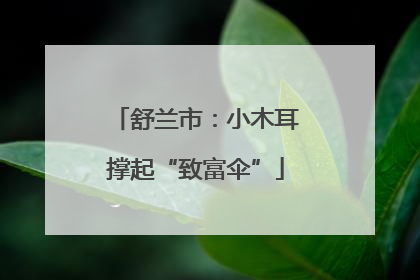 舒兰市：小木耳撑起“致富伞”