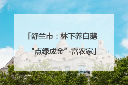 舒兰市：林下养白鹅 “点绿成金”富农家