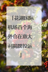 花湖国际机场首个海外仓在意大利揭牌投运