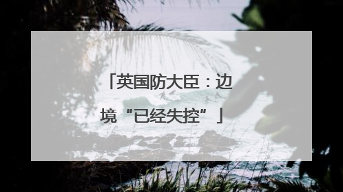 英国防大臣：边境“已经失控”