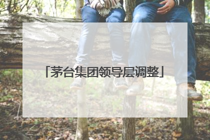 茅台集团领导层调整