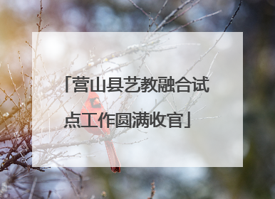 营山县艺教融合试点工作圆满收官