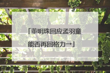董明珠回应孟羽童能否再回格力→
