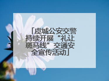 虞城公安交警持续开展“礼让斑马线”交通安全宣传活动